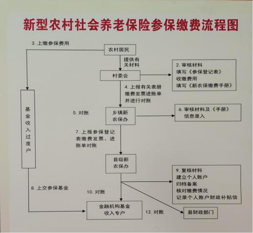 营口农村医保和社保有什么区别(农村医保跟社保的区别)